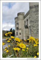 IMG_20240318_133825