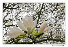 IMG_20240318_141512