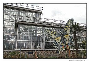 IMG_20240318_143109