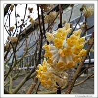IMG_20240318_143420