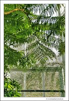 IMG_20240318_145141