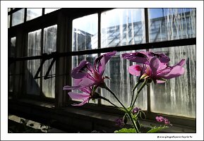IMG_20240318_145533