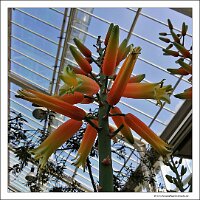 IMG_20240318_150447