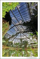 IMG_20240318_151106