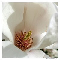 IMG_20240318_154017
