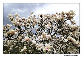 IMG_20240318_154039