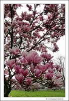 IMG_20240318_154350