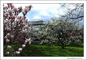 IMG_20240318_154430