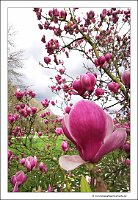 IMG_20240318_154627