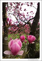 IMG_20240318_154637