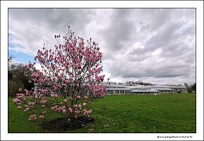 IMG_20240318_160023