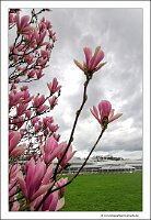 IMG_20240318_160035