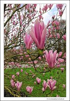 IMG_20240318_160123