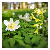 IMG_20240318_162006a