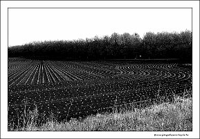 IMG_20240427_101426a