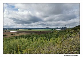 IMG_20240427_110016