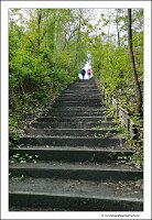 IMG_20240427_111833