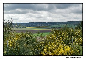 IMG_20240427_112244