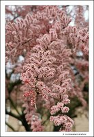 IMG_20240427_125410