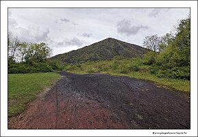 IMG_20240427_140329