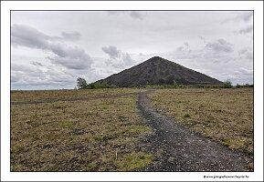 IMG_20240427_141902