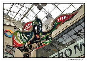 IMG_20240428_133731