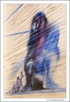 IMG_5781