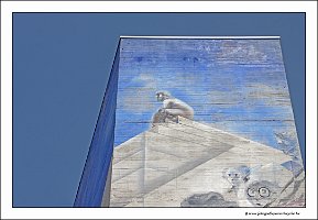 IMG_5785