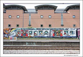 IMG_5805