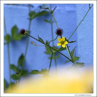 IMG_5829