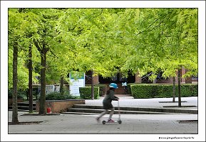 IMG_5846