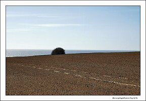 IMG_20250329_135615