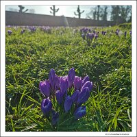 IMG_20250308_090913