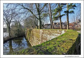 IMG_20250308_091450
