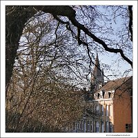 IMG_20250308_091610