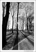 IMG_20250308_092335