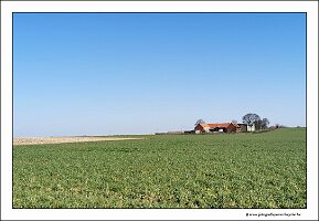 IMG_20250308_112903
