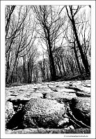 IMG_20250308_123700