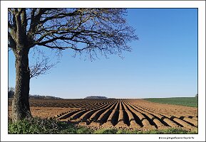 IMG_20250408_083200