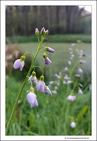 IMG_20250408_084624