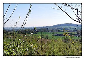 IMG_20250408_114255