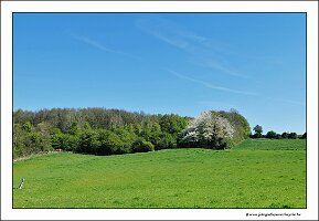 IMG_20250408_125005