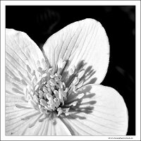 IMG_20250408_134901 copy