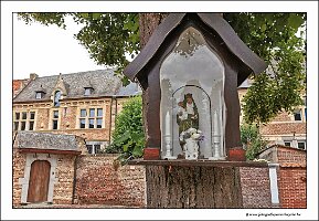 IMG_20250607_151645.jpg