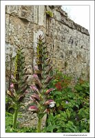 IMG_20250608_104920