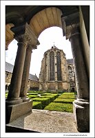 IMG_20250608_143628