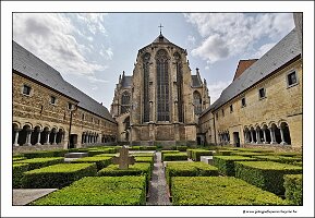 IMG_20250608_143725