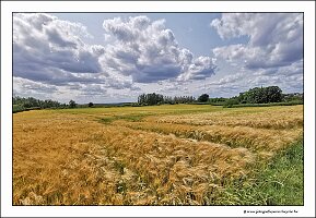 IMG_20250608_154900