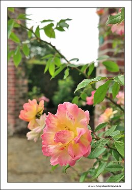 IMG_20250607_134540