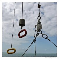IMG_20260513_105707